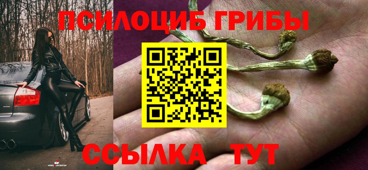Белогорск  Галлюциногенные грибы GOLDEN TEACHER  Вход с VPN  Галлюциногенные грибы Psilocybe 